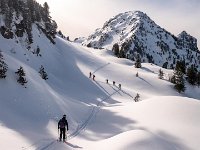 Jasse Bralard 08-02-2026